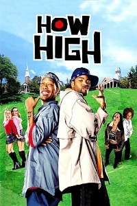 Download How High (2001) Dual Audio (Hindi-English) 480p [400MB] || 720p [1GB] || 1080p [1.87GB]