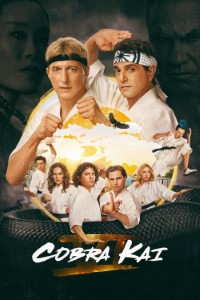 Download Cobra Kai (Season 1 – 6) Dual Audio {Hindi-English} WeB-DL 480p [130MB] || 720p [230MB] || 1080p [1.4GB]